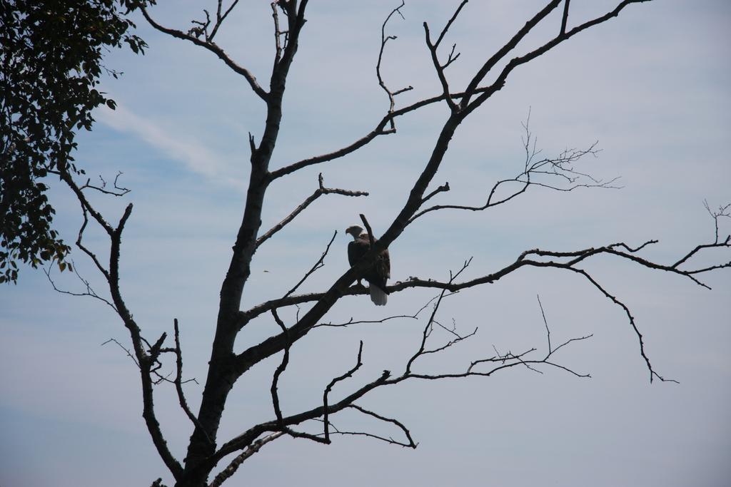 Cliff Dweller On Lake Superior 토프테 외부 사진